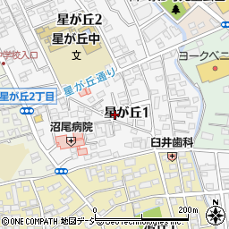 栃木県宇都宮市星が丘1丁目周辺の地図