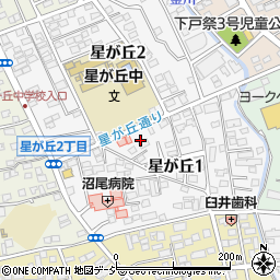栃木県宇都宮市星が丘1丁目5周辺の地図
