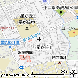 栃木県宇都宮市星が丘1丁目5-15周辺の地図