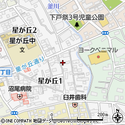 栃木県宇都宮市星が丘1丁目2-30周辺の地図