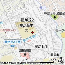 栃木県宇都宮市星が丘周辺の地図