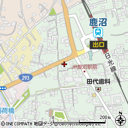 栃木県鹿沼市上野町133-3周辺の地図