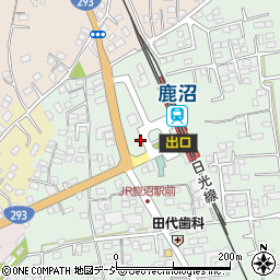 栃木県鹿沼市上野町113周辺の地図