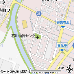 専光寺桃の木公園周辺の地図