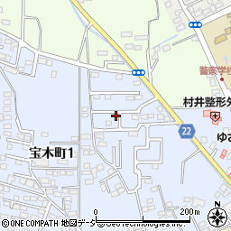 栃木県宇都宮市宝木町1丁目244-36周辺の地図