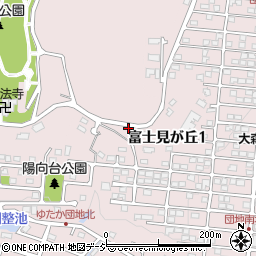 栃木県宇都宮市富士見が丘1丁目21周辺の地図