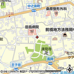 有限会社斎木石材本店周辺の地図