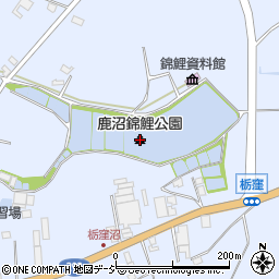 鹿沼錦鯉公園周辺の地図