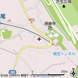 富山県富山市八尾町城生1685周辺の地図