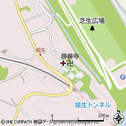 富山県富山市八尾町城生1241周辺の地図