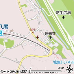 〒939-2314 富山県富山市八尾町城生の地図