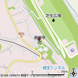 富山県富山市八尾町城生1249周辺の地図