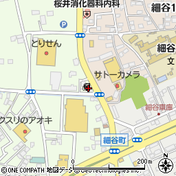 栃木県宇都宮市細谷町389-6周辺の地図