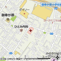 宇都宮リハビリテーション病院（巨樹の会）周辺の地図