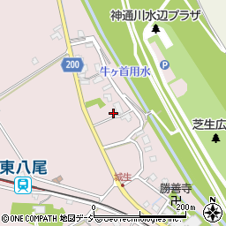 富山県富山市八尾町城生1349周辺の地図
