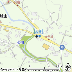 栃木県宇都宮市大谷町1124周辺の地図