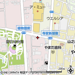 富山県南砺市柴田屋45周辺の地図