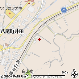 富山県富山市八尾町井田1328周辺の地図