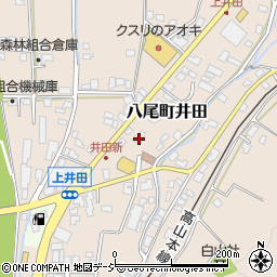 富山県富山市八尾町井田4916周辺の地図