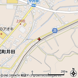 富山県富山市八尾町井田11254周辺の地図