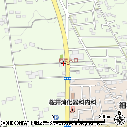 栃木県宇都宮市細谷町480周辺の地図