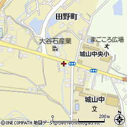 栃木県宇都宮市田野町319周辺の地図