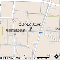富山県富山市八尾町井田198周辺の地図