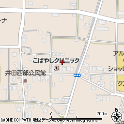 富山県富山市八尾町井田197周辺の地図
