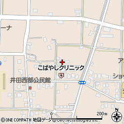 富山県富山市八尾町井田196周辺の地図