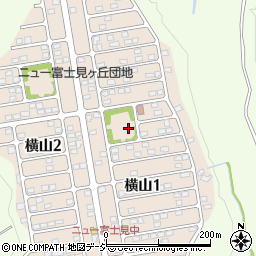 ニュー富士見ヶ丘2号児童公園周辺の地図