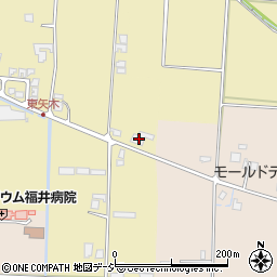 富山県砺波市矢木480周辺の地図