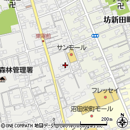 群馬県沼田市鍛冶町3955-19周辺の地図