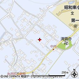 群馬県利根郡昭和村糸井周辺の地図