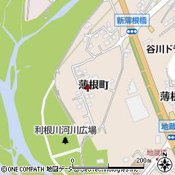 群馬県沼田市薄根町3431-76周辺の地図