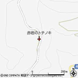 赤岩のトチノキ周辺の地図