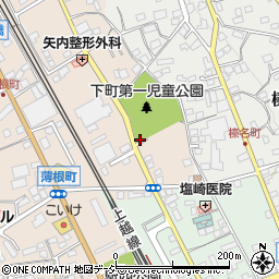 群馬県沼田市薄根町4142-4周辺の地図