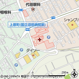 国立病院機構沼田病院周辺の地図