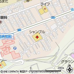 シャンブル沼田店周辺の地図