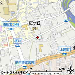 ＣＤＳペットクリニック沼田病院周辺の地図