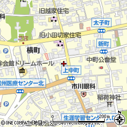 長野県須坂市須坂225周辺の地図