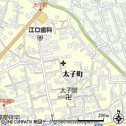 長野県須坂市須坂919周辺の地図
