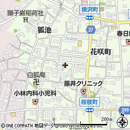 ザンデュール桜枝町周辺の地図