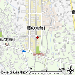 富山県富山市藤の木台1丁目20-2周辺の地図