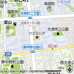 ウエルシア薬局　富山大泉店周辺の地図