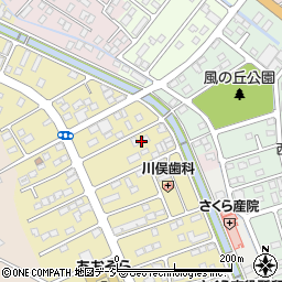 栃木県さくら市草川33-13周辺の地図