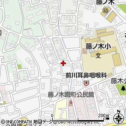 富山県富山市藤見町1226-14周辺の地図