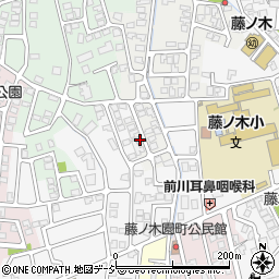 富山県富山市藤見町1226-39周辺の地図