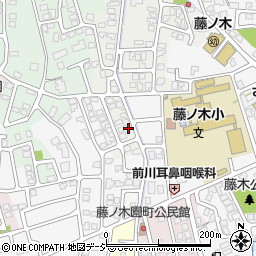 富山県富山市藤見町1226-11周辺の地図