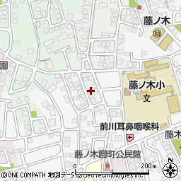 富山県富山市藤見町1226-8周辺の地図