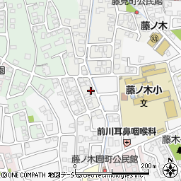 富山県富山市藤見町1226-7周辺の地図